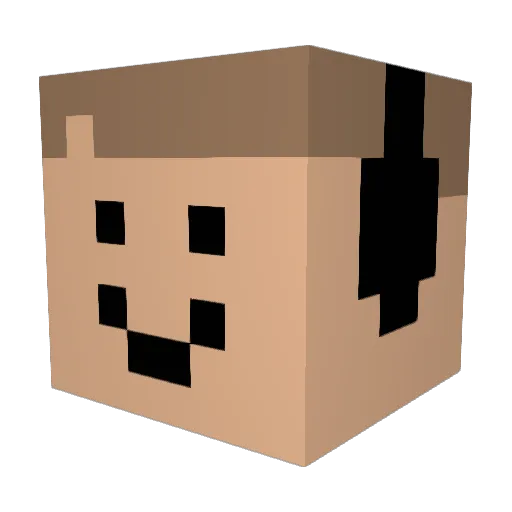 IT6318Aidan Minecraft avatar head, 3D render