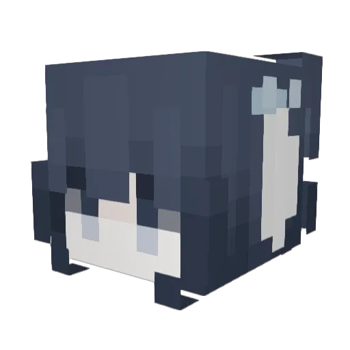 ITSBABYCOUFLE Minecraft avatar head, 3D render