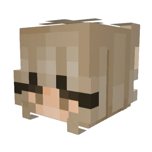 ITS_MEFLOOR Minecraft avatar head, 3D render