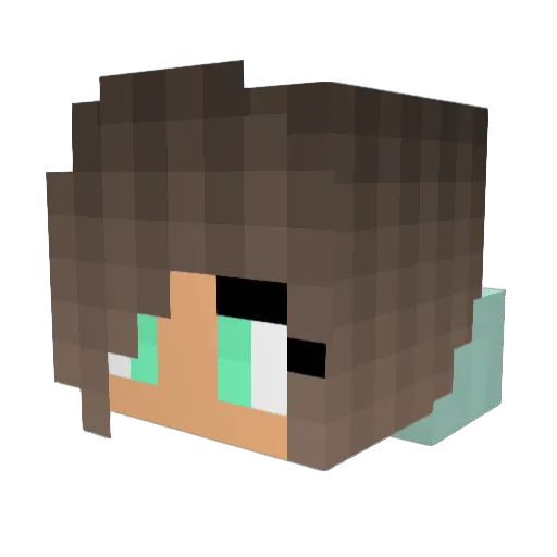ITS_NESSA_BRUH Minecraft avatar head, 3D render