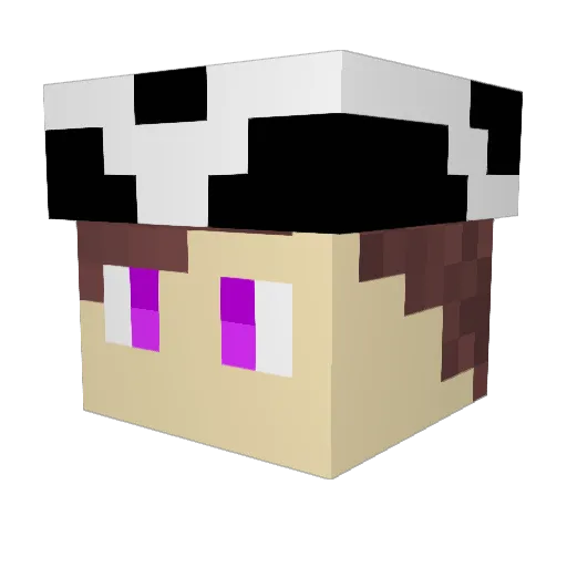 ITS_VICTOR Minecraft avatar head, 3D render