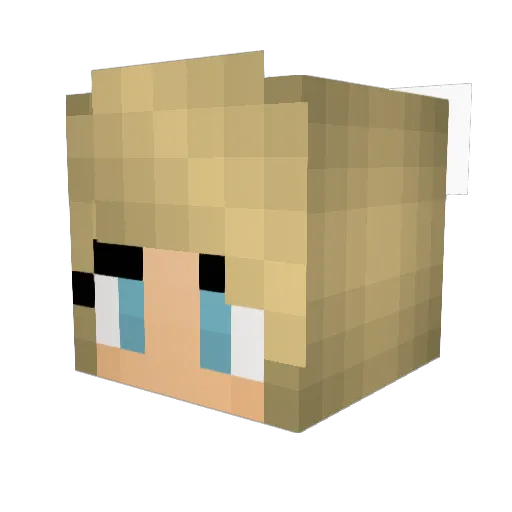 ITZ_Britt Minecraft avatar head, 3D render
