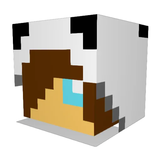 ITZ_PANDA_8 Minecraft avatar head, 3D render