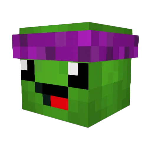 ITurTue Minecraft avatar head, 3D render