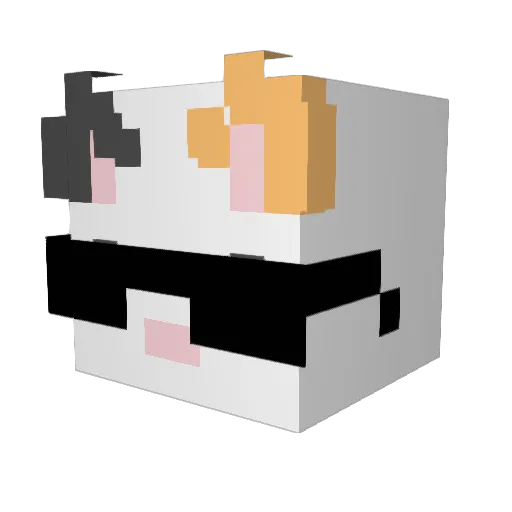 ITzDonGato Minecraft avatar head, 3D render
