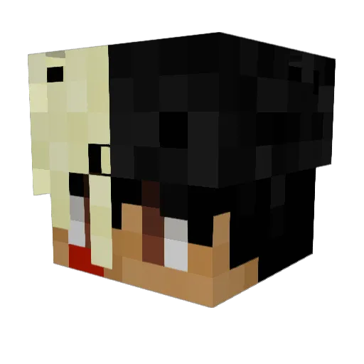 ITz_MLG_360 Minecraft avatar head, 3D render