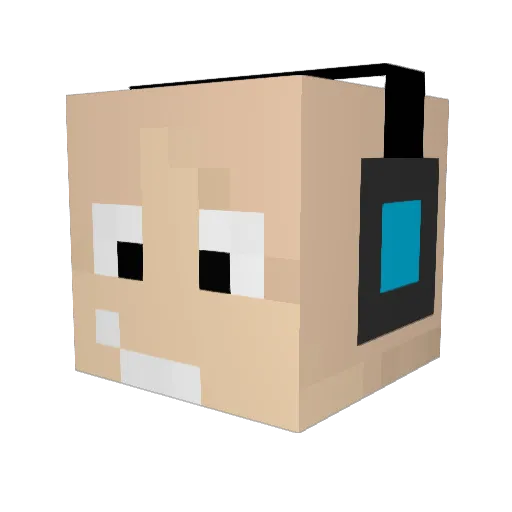 ITz_mowi_plays Minecraft avatar head, 3D render