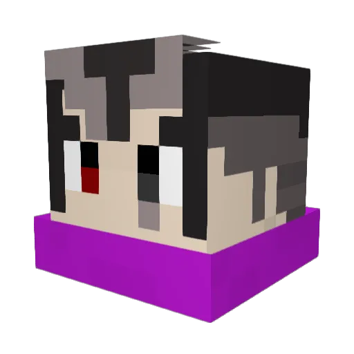 IUF Minecraft avatar head, 3D render