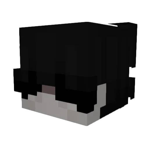 IWALKYOUseksu Minecraft avatar head, 3D render