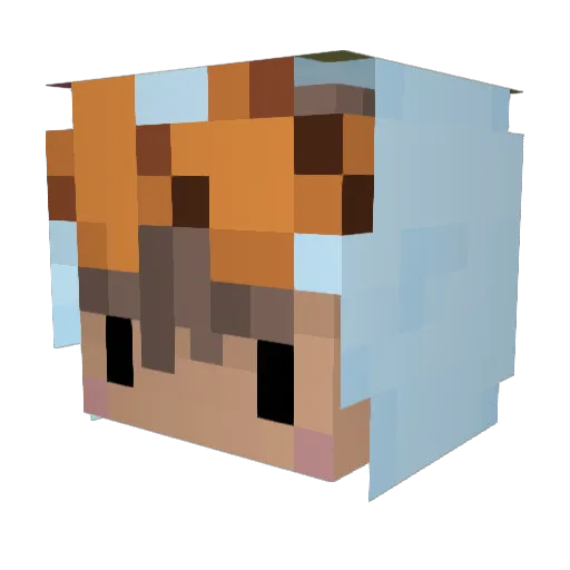 IWILLPLOPKOEKYOU Minecraft avatar head, 3D render