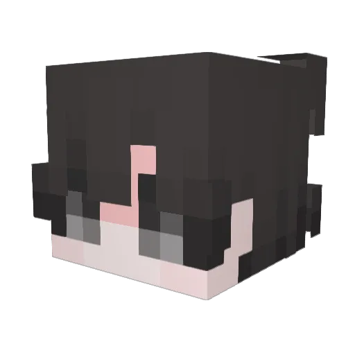 IWI_Lain Minecraft avatar head, 3D render