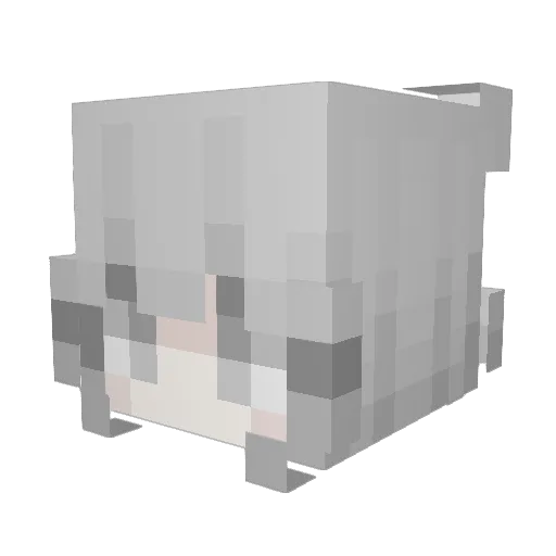 IWantAFreeRank Minecraft avatar head, 3D render
