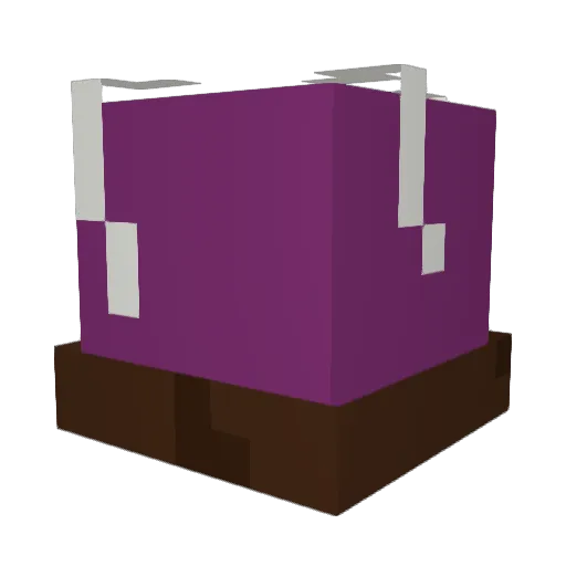 IWantBraxshotz Minecraft avatar head, 3D render