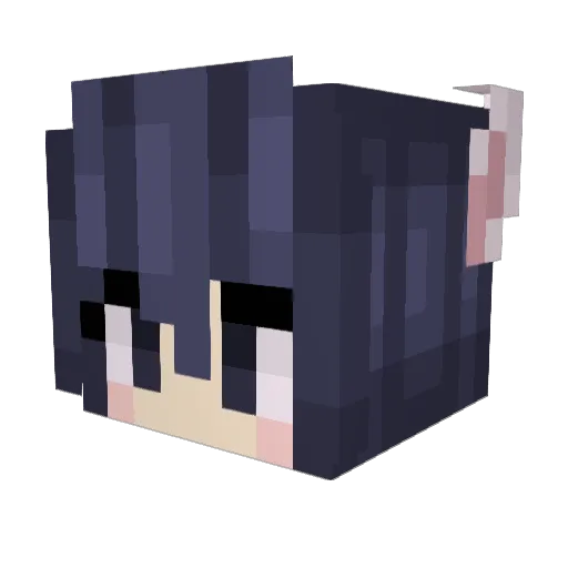 IWantYouSoMuch Minecraft avatar head, 3D render