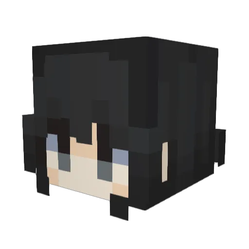 IWasBornWithHIV Minecraft avatar head, 3D render
