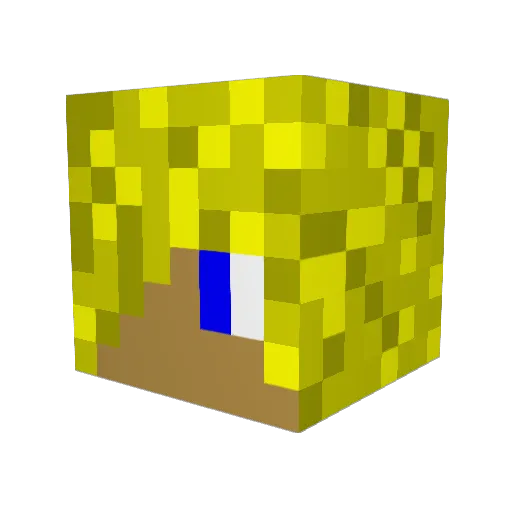 IWeRaZx Minecraft avatar head, 3D render