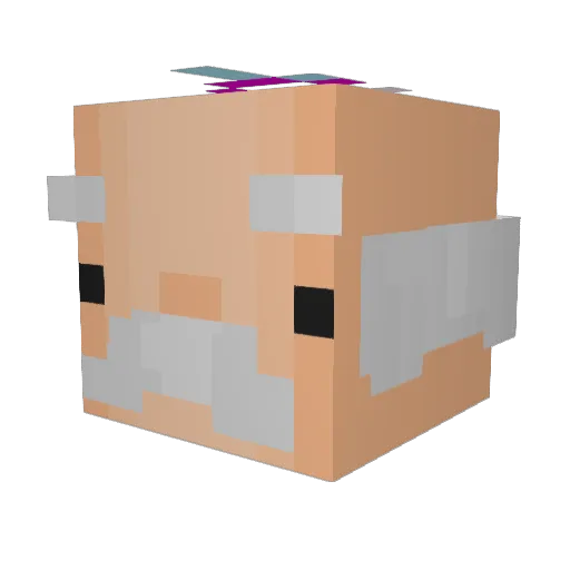 IXNoRIX1 Minecraft avatar head, 3D render