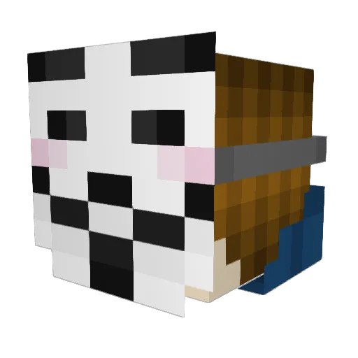 IXVallerionXI Minecraft avatar head, 3D render