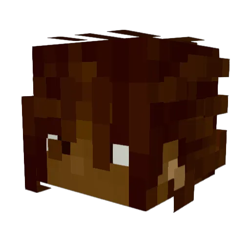 IX_Punisher_XI Minecraft avatar head, 3D render