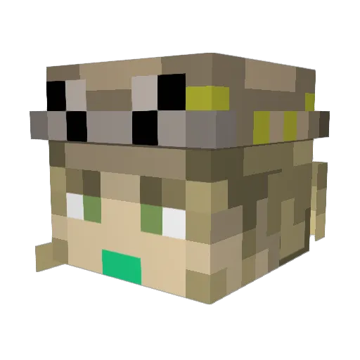 IXenoI Minecraft avatar head, 3D render
