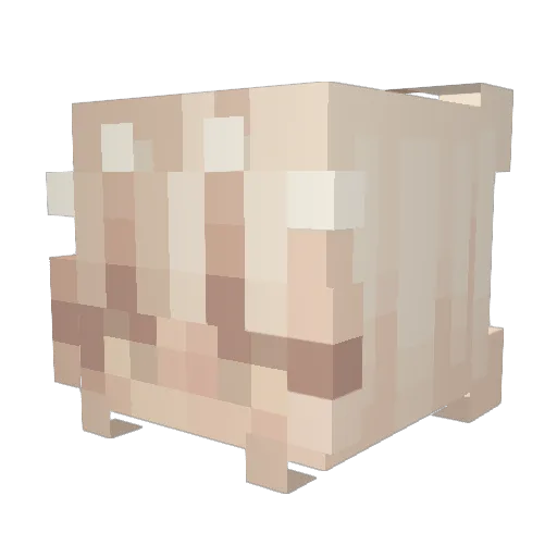 IYELLALOT_ Minecraft avatar head, 3D render