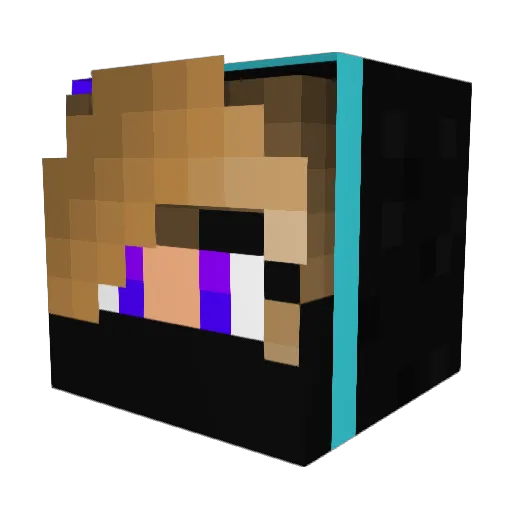 IYI1Y1R Minecraft avatar head, 3D render