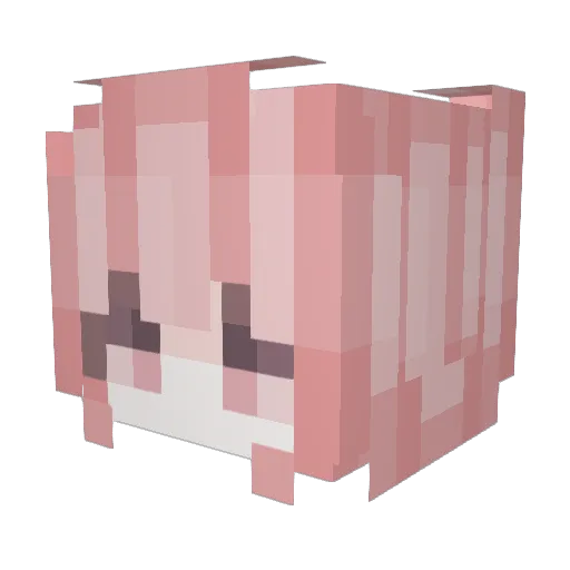 IZIS Minecraft avatar head, 3D render