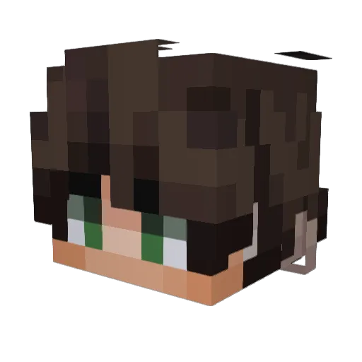 I_ATE_YOUR_DOG13 Minecraft avatar head, 3D render