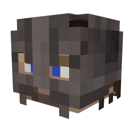 I_Am_Finn Minecraft avatar head, 3D render