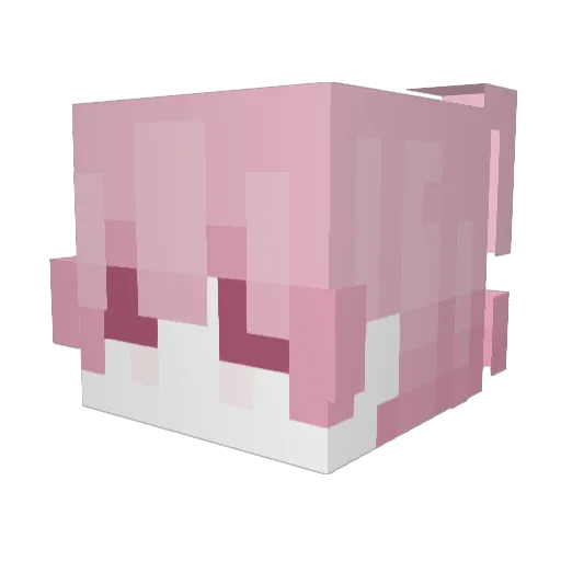 I_Criis Minecraft avatar head, 3D render
