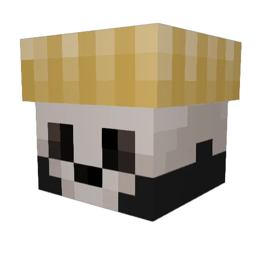 I_Fish Minecraft avatar head, 3D render
