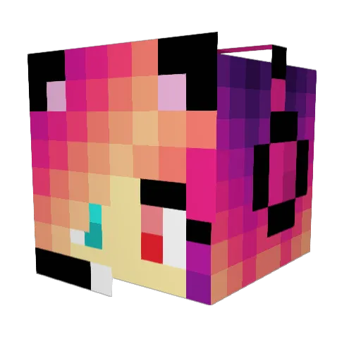 I_Heart_PIGSSS Minecraft avatar head, 3D render