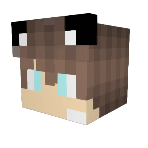 I_I_WOLFF_I_I Minecraft avatar head, 3D render