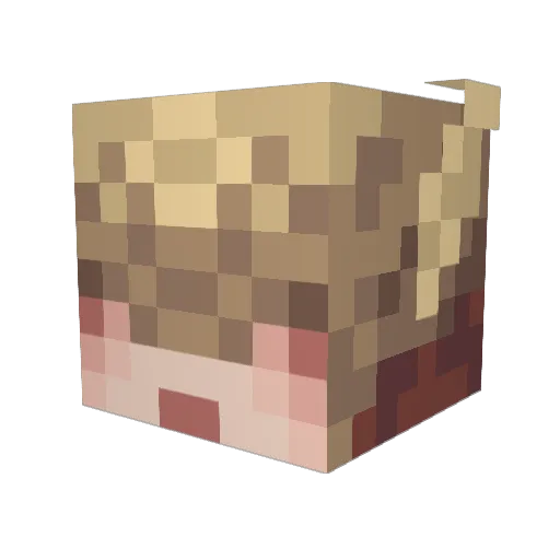 I_LUV_DOM_WOMEN Minecraft avatar head, 3D render