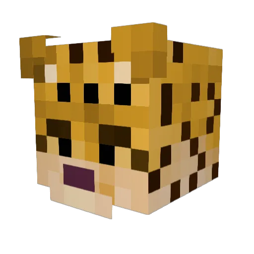 I_Love_Leopards Minecraft avatar head, 3D render