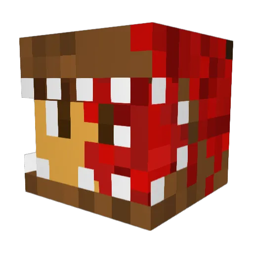 I_Rqck_You Minecraft avatar head, 3D render