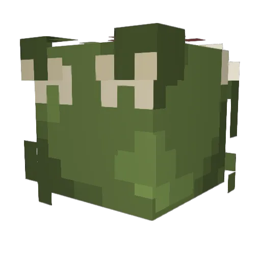 I_SimpForShrek Minecraft avatar head, 3D render