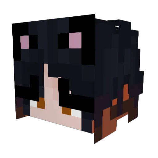 I_Steal_Toast Minecraft avatar head, 3D render
