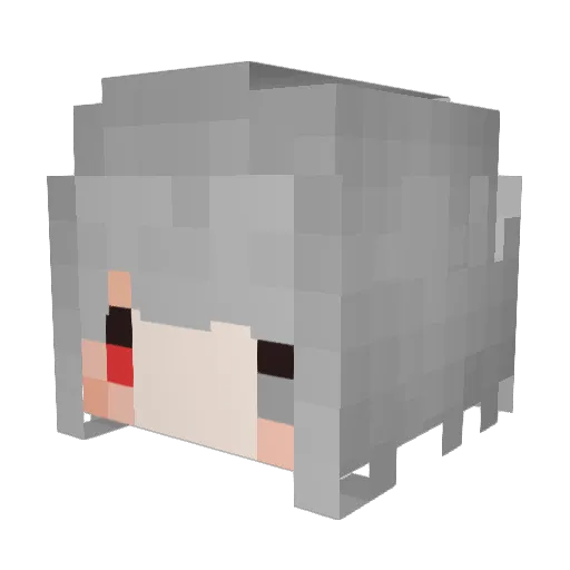 I_Texas_I Minecraft avatar head, 3D render