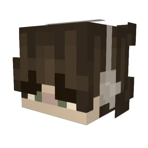 I_W_B_ Minecraft avatar head, 3D render