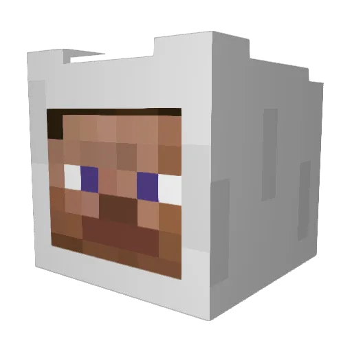 I_Was_Born_Ready Minecraft avatar head, 3D render