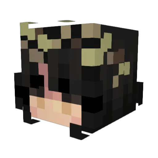 I_Wish_I_Wouldnt Minecraft avatar head, 3D render