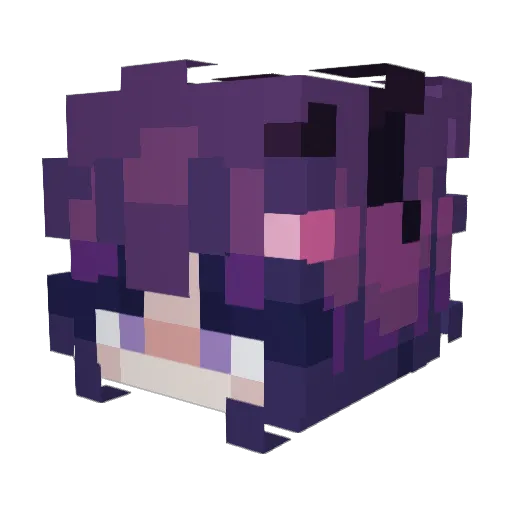 I__Nova__I Minecraft avatar head, 3D render