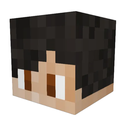 I_like_crows Minecraft avatar head, 3D render
