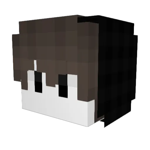 I_love_NewZ Minecraft avatar head, 3D render