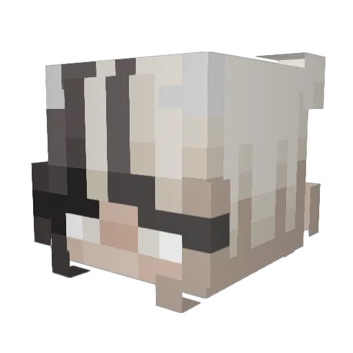 I_lovesleep Minecraft avatar head, 3D render
