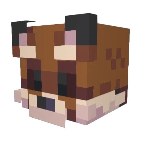 IagoSilva Minecraft avatar head, 3D render