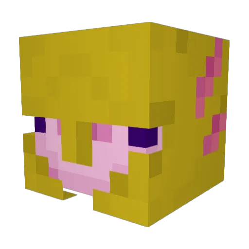IainTheEpicGamer Minecraft avatar head, 3D render