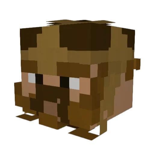 Iainidus Minecraft avatar head, 3D render