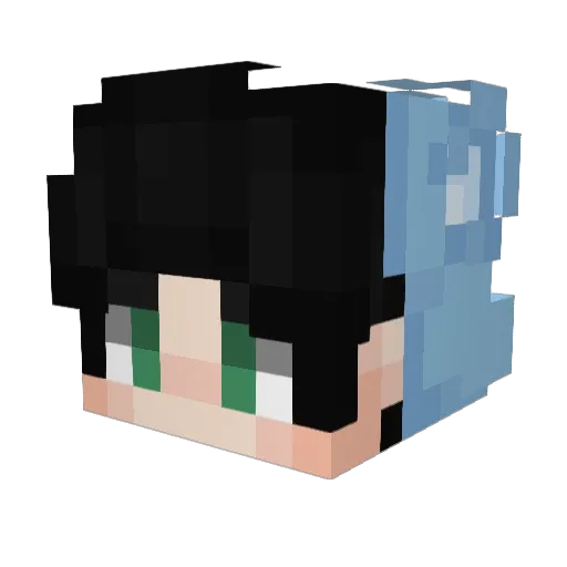 Ialwayswinluv Minecraft avatar head, 3D render